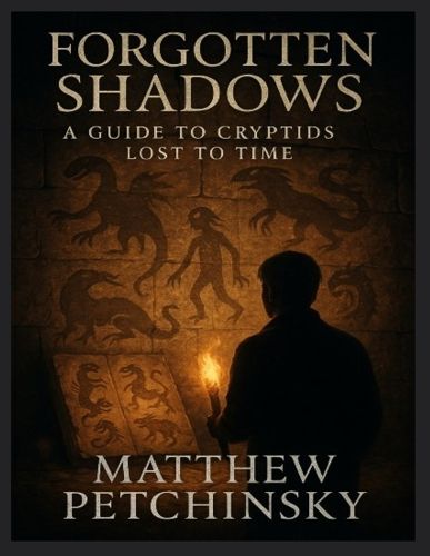 Cover image for Forgotten Shadows