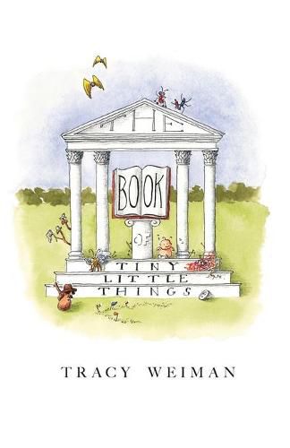 Cover image for The Book of Tiny Little Things