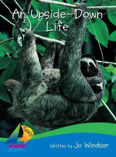 Cover image for Sails Early Level 3 - Blue Bridging Green