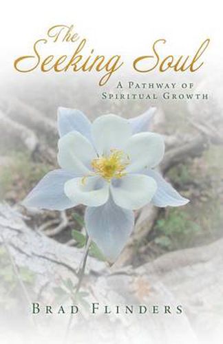 Cover image for The Seeking Soul: A Pathway of Spiritual Growth