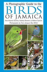Cover image for A Photographic Guide to the Birds of Jamaica