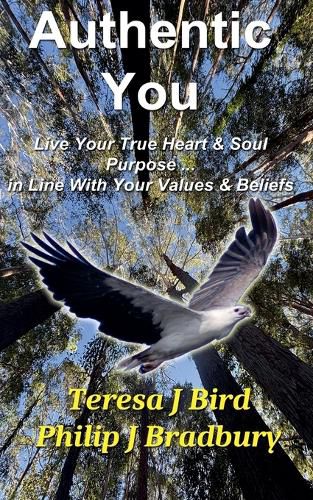Cover image for Authentic You