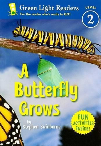 Cover image for A Butterfly Grows