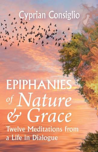 Cover image for Epiphanies of Nature and Grace