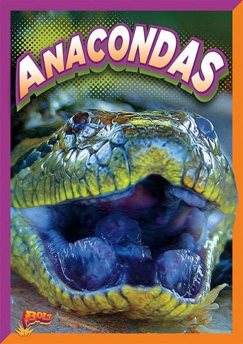 Cover image for Anacondas