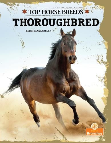 Cover image for Thoroughbred