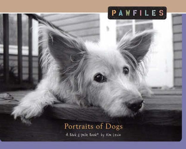 Cover image for Pawfiles: Portraits of Dogs: A Bark and Smile Book