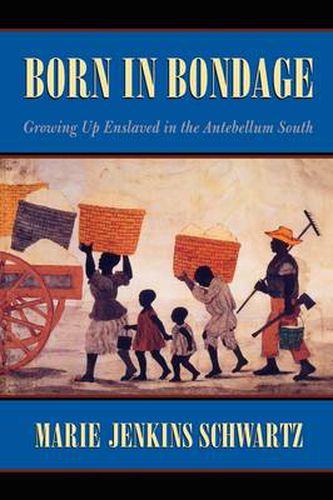 Cover image for Born in Bondage: Growing Up Enslaved in the Antebellum South