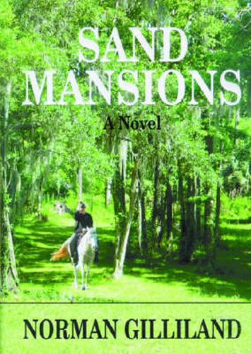 Cover image for Sand Mansions: A Novel