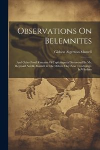 Cover image for Observations On Belemnites