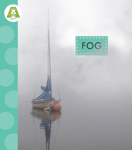 Cover image for Fog