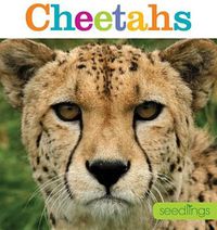 Cover image for Seedlings: Cheetahs
