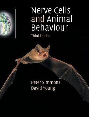 Nerve Cells and Animal Behaviour