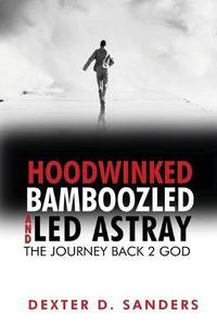 Cover image for Hoodwinked Bamboozled and Led Astray