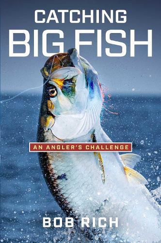 Cover image for Catching Big Fish