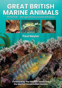 Cover image for Great British Marine Animals