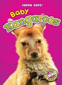 Cover image for Baby Kangaroos