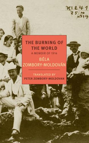 Cover image for The Burning Of The World