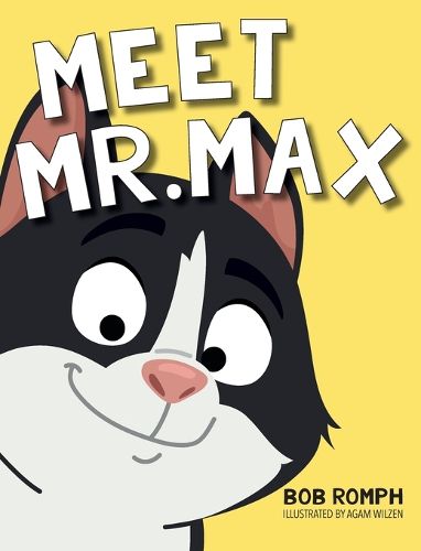 Cover image for Meet Mr. Max