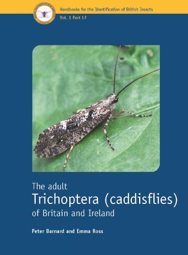 Cover image for The adult Trichoptera (caddisflies) of Britain and Ireland