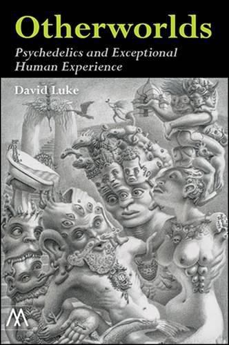 Cover image for Otherworlds: Psychedelics and Exceptional Human Experience