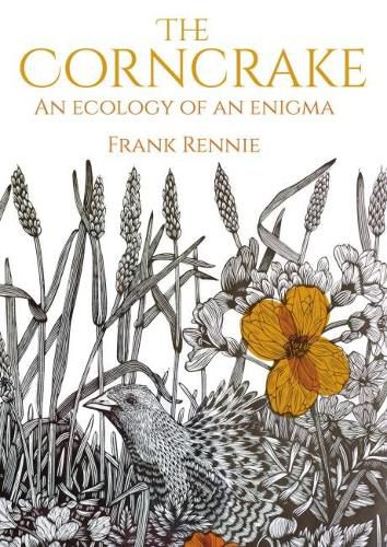 Cover image for The Corncrake: An Ecology of an Enigma