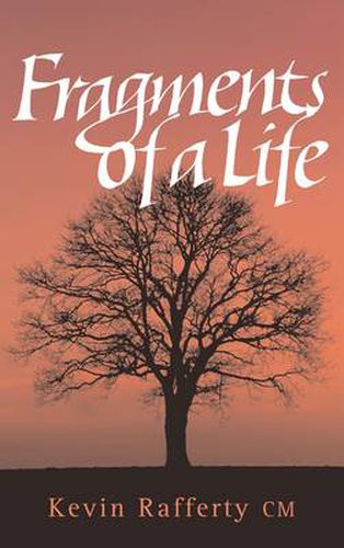 Cover image for Fragments of a Life