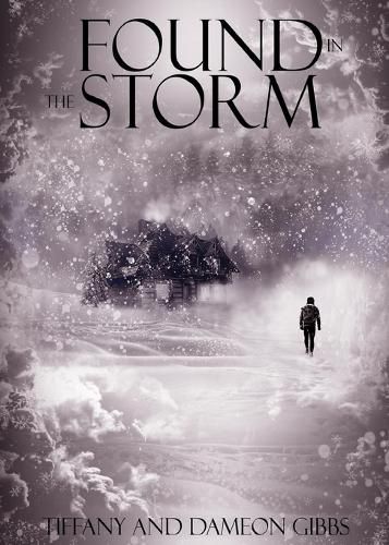 Cover image for Found in the Storm