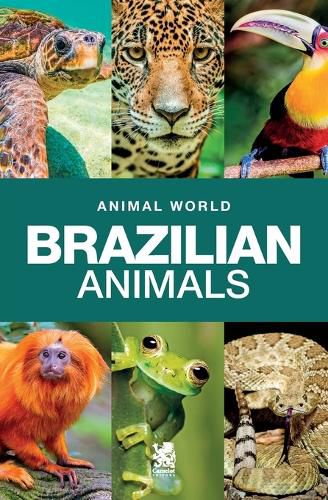 Cover image for Animal World