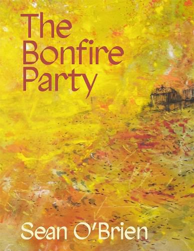 Cover image for The Bonfire Party