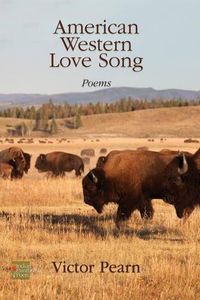 Cover image for American Western Love Song