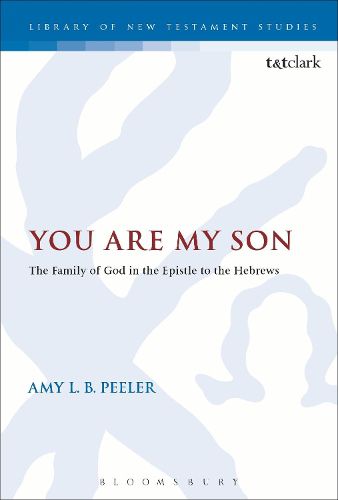 Cover image for You Are My Son: The Family of God in the Epistle to the Hebrews