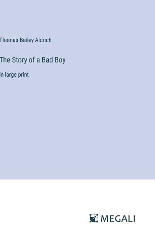 Cover image for The Story of a Bad Boy