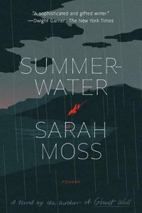 Cover image for Summerwater