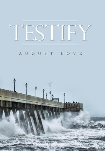 Cover image for Testify