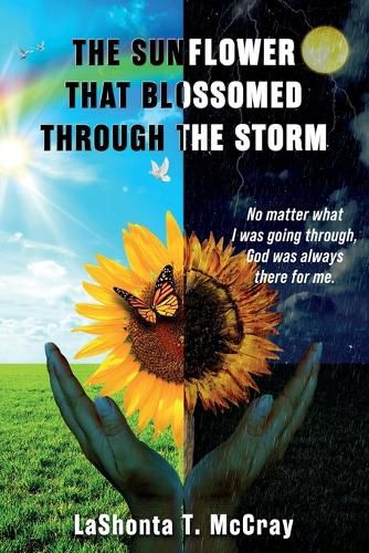 The Sunflower That Blossomed Through The Storm