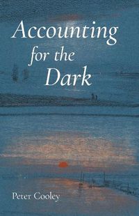 Cover image for Accounting for the Dark