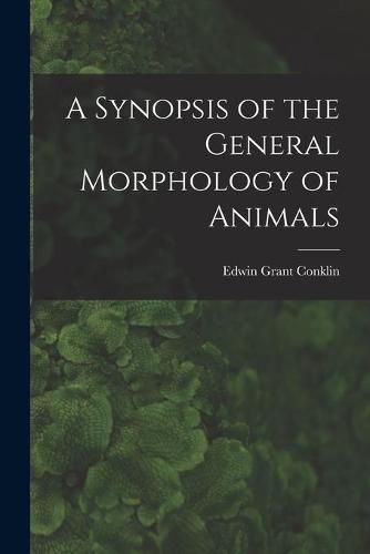 A Synopsis of the General Morphology of Animals