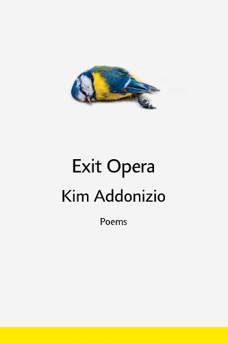 Cover image for Exit Opera