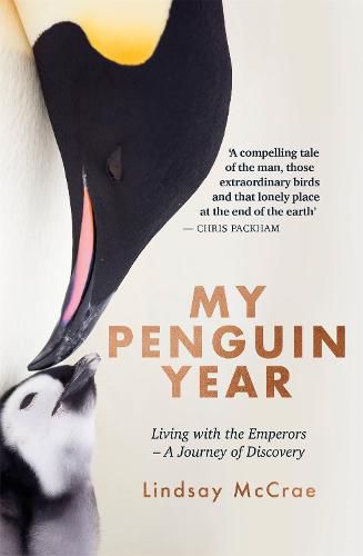 My Penguin Year: Living with the Emperors - A Journey of Discovery