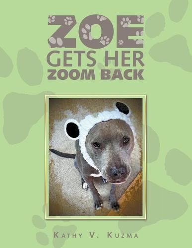 Cover image for Zoe Gets Her Zoom Back