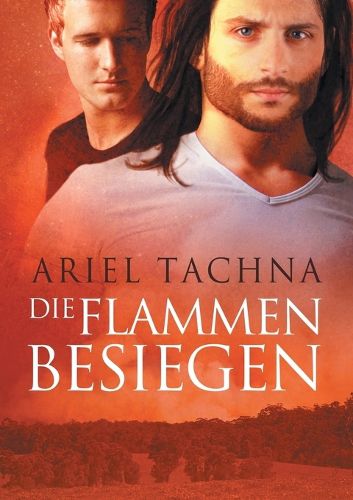 Cover image for Flammen besiegen (Translation)