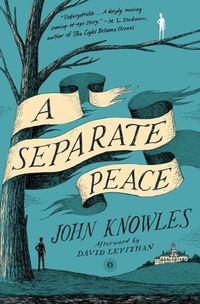 Cover image for A Separate Peace