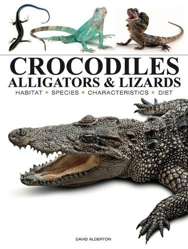 Cover image for Crocodiles, Alligators & Lizards