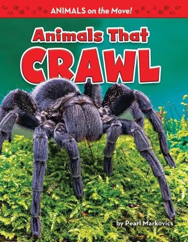 Cover image for Animals That Crawl