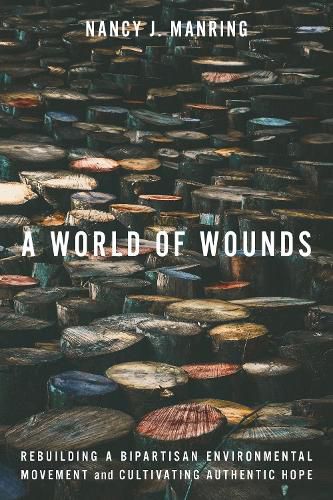 Cover image for A World of Wounds