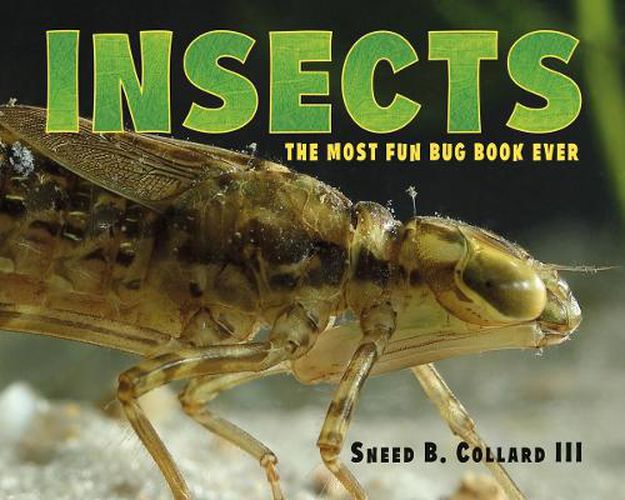 Cover image for Insects: The Most Fun Bug Book Ever