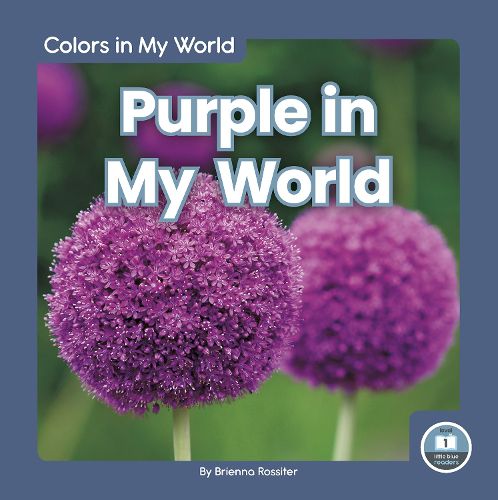 Cover image for Colors in My World: Purple in My World