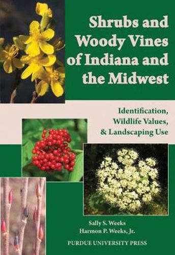 Cover image for Shrubs and Woody Vines of Indiana and the Midwest: Identification, Wildlife Values and Landscaping Use