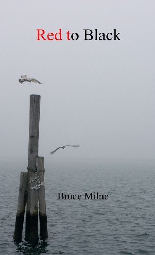 Cover image for Red to Black